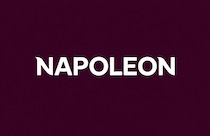 Napoleon Casino logo